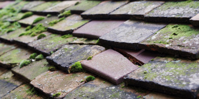 Mistley roof repair costs